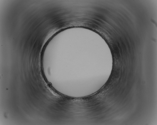 X0000098110894200804251425