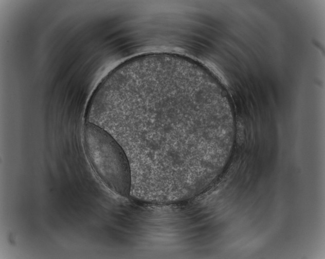 X0000098110895200804251425