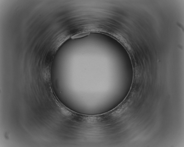 X0000098110897200804251425