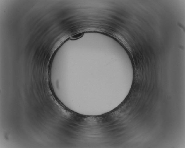 X0000098110898200804251425