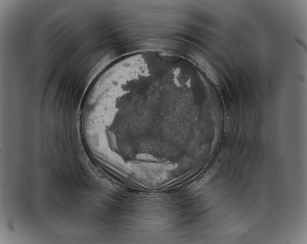 X0000098110899200804251425