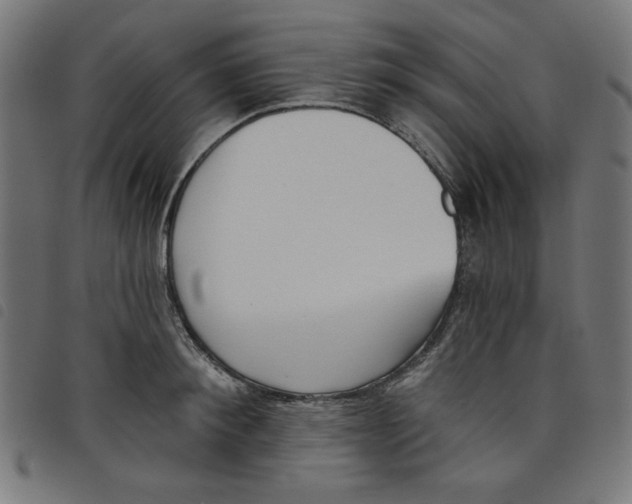 X0000098110900200804251425