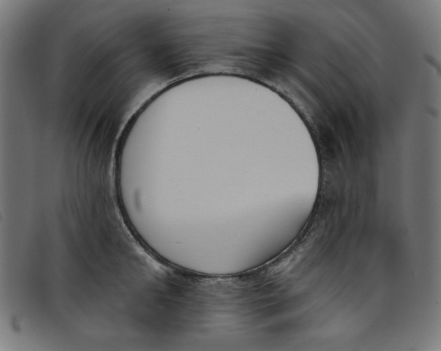 X0000098110902200804251425