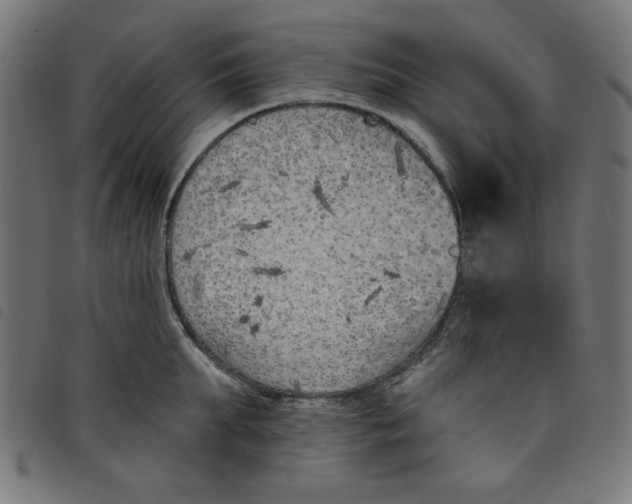 X0000098110903200804251425