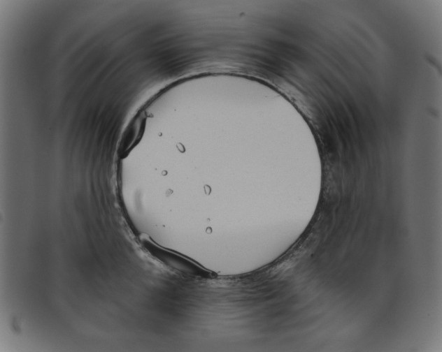 X0000098110904200804251425