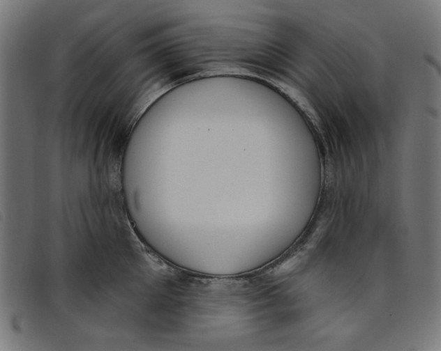 X0000098110905200804251425