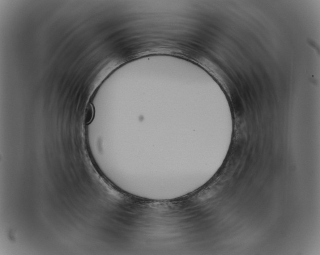 X0000098110906200804251425