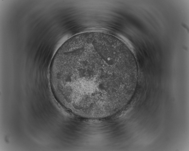 X0000098110907200804251425