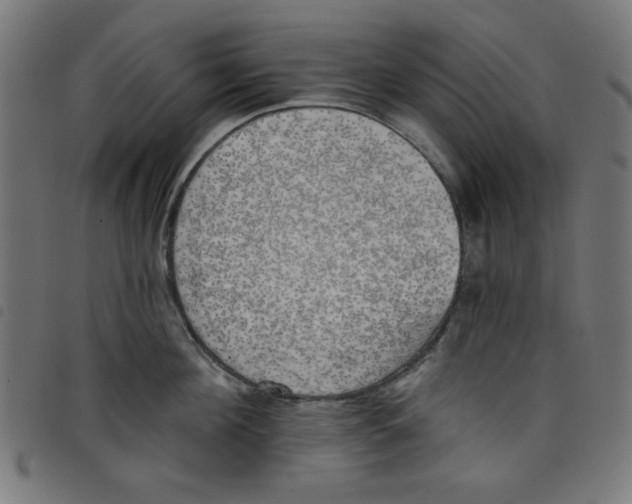 X0000098110908200804251425