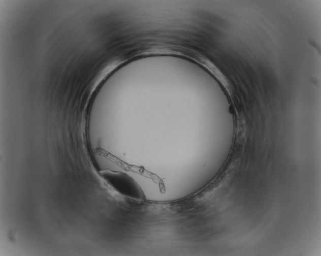 X0000098110909200804251425