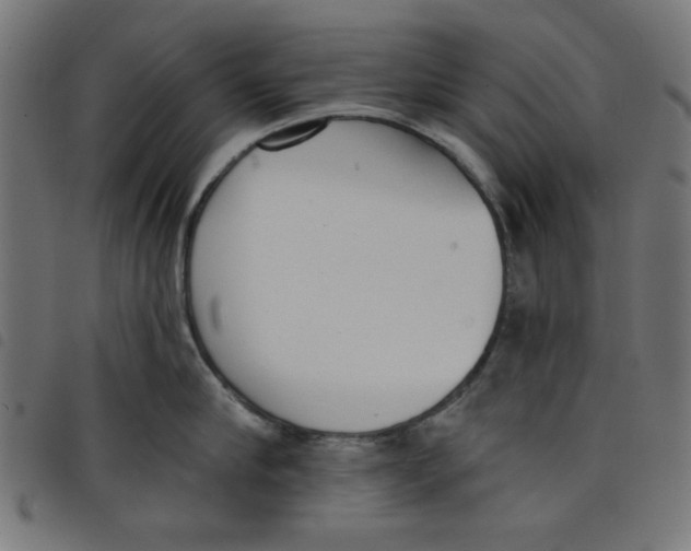 X0000098110910200804251425