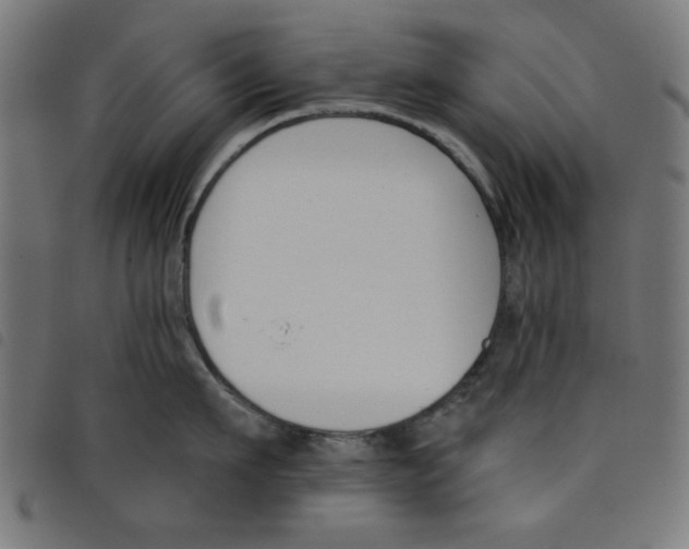 X0000098110911200804251425