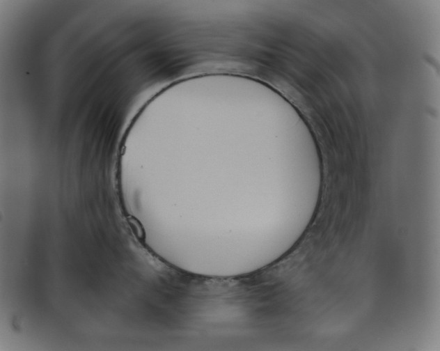 X0000098110912200804251425