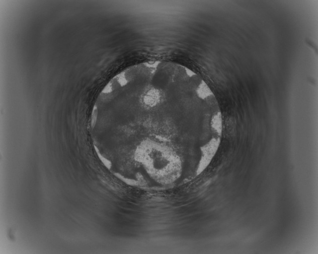 X0000098110913200804251424