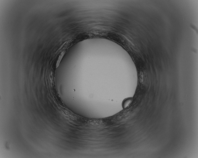 X0000098110915200804251424