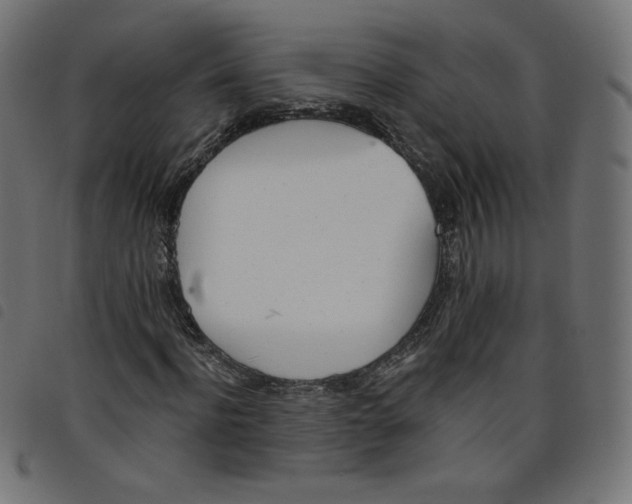 X0000098110916200804251424