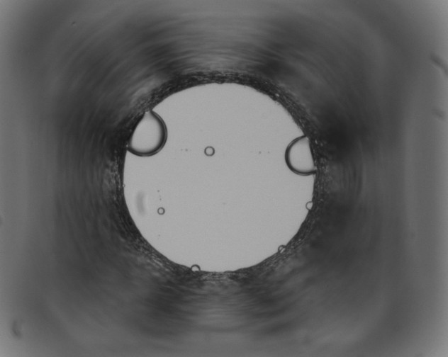 X0000098110918200804251424