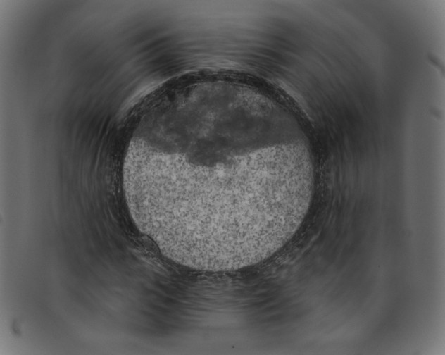 X0000098110919200804251424