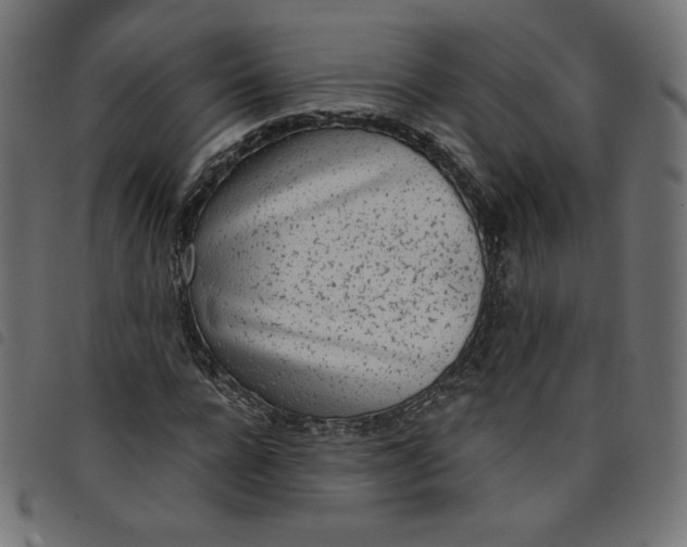 X0000098110920200804251424