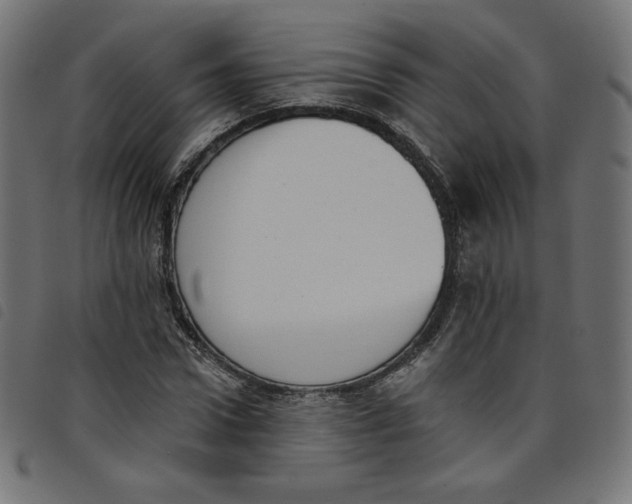 X0000098110922200804251424