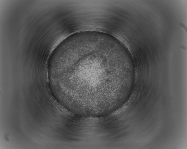 X0000098110925200804251424