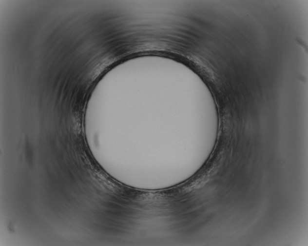 X0000098110929200804251424