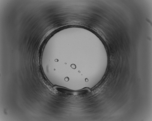 X0000098110931200804251424