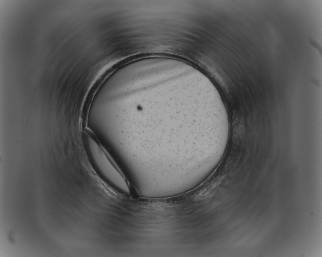 X0000098110932200804251424