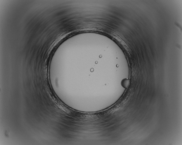 X0000098110933200804251424