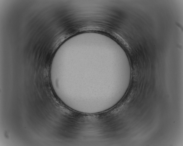 X0000098110937200804251424