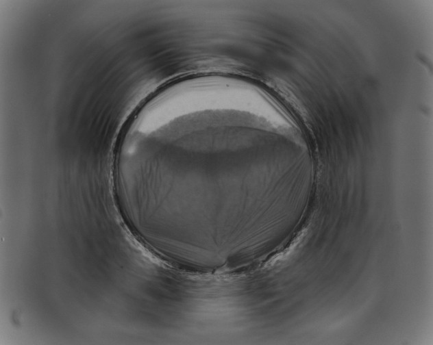 X0000098110941200804251424