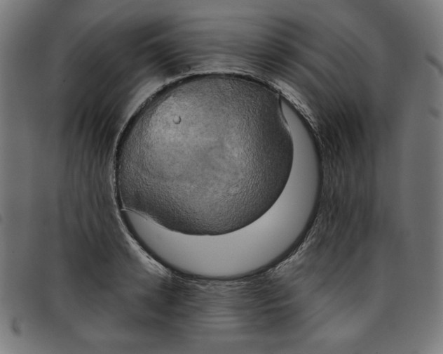 X0000098110942200804251424