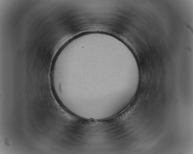 X0000098110943200804251424