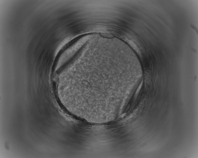 X0000098110944200804251424