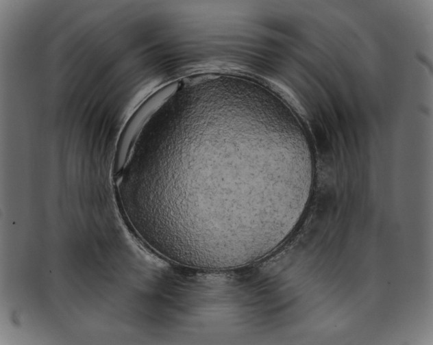 X0000098110946200804251425