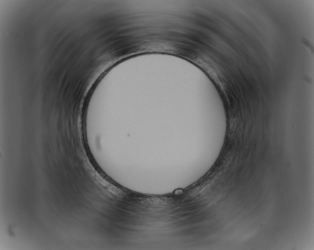 X0000098110947200804251425