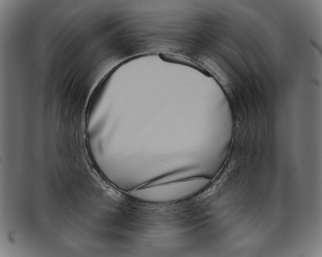 X0000098110948200804251425