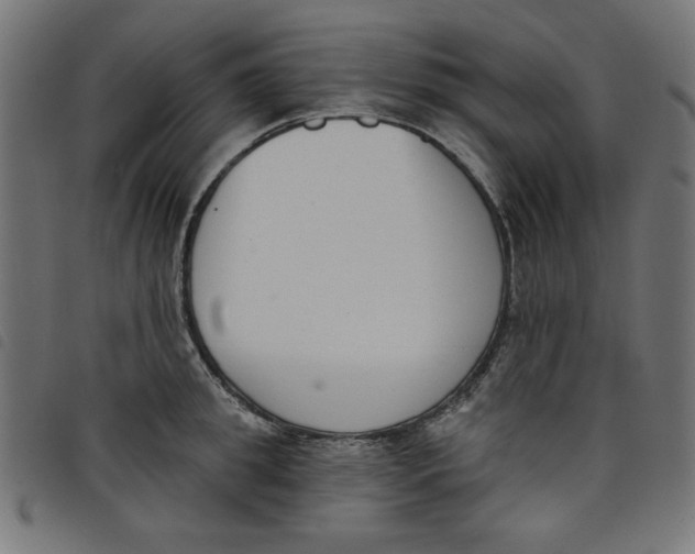 X0000098110949200804251425