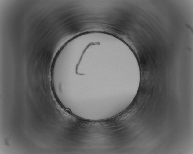 X0000098110951200804251425