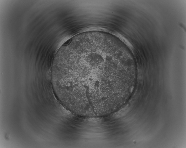 X0000098110953200804251425