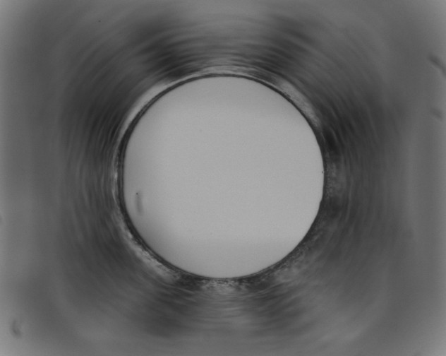 X0000098110955200804251425