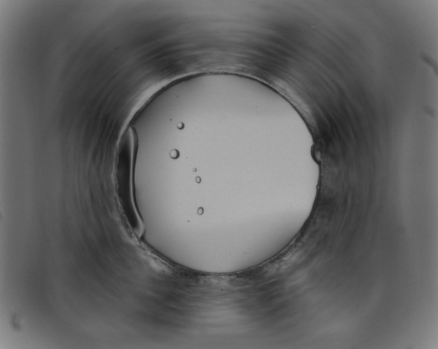 X0000098110956200804251425