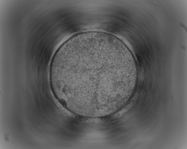 X0000098110957200804251425