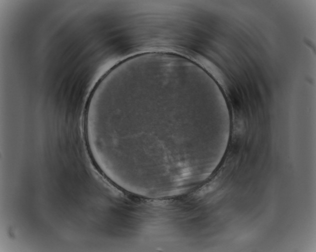 X0000098110958200804251425