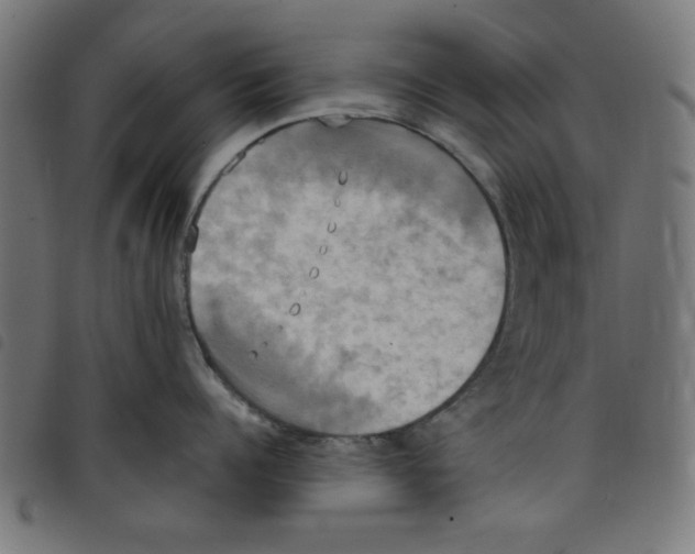 X0000098110960200804251425