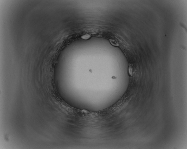 X0000098110961200804251424