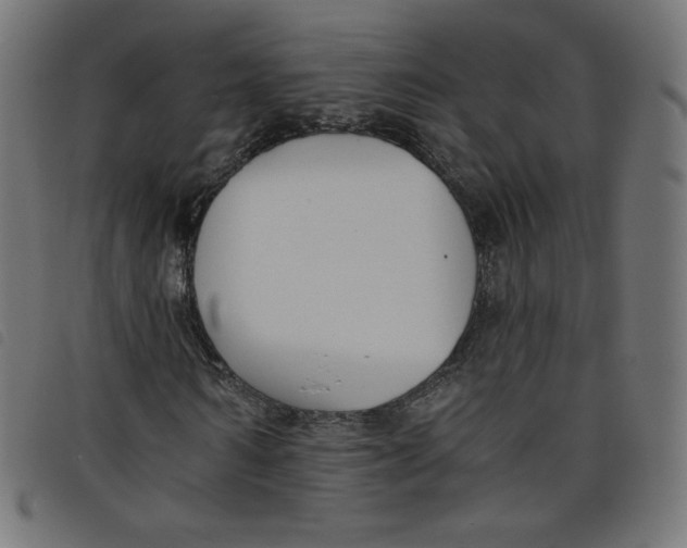 X0000098110962200804251424