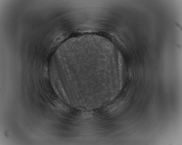 X0000098110964200804251424