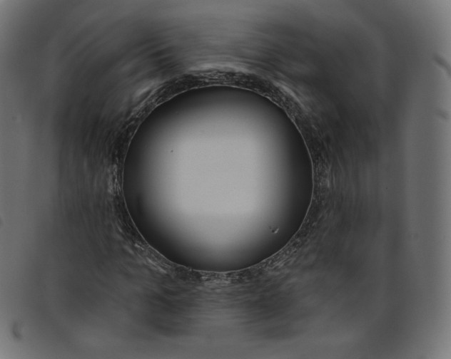 X0000098110965200804251424