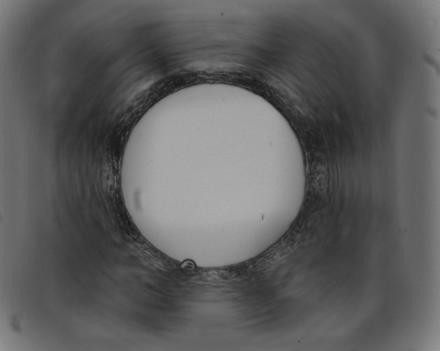 X0000098110966200804251424